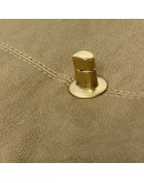 CHANEL Trianon Messenger Bag in Gold Distressed Calfskin – GHW (17 Series – Year 2013)