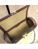 LOUIS VUITTON Monogram Papillon Trunk with Chain & Strap – GHW (Microchip New Model)