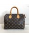 LOUIS VUITTON Monogram Speedy 25 Boston Handbag – GHW