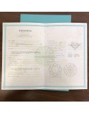 TIFFANY & CO The Tiffany Setting Engagement Ring in Platinum – 0.31ct Diamond (Year 2018)