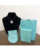 TIFFANY & CO Medium Heart Tag Necklace with Key Pendant in Sterling Silver
