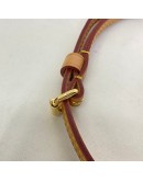 LOUIS VUITTON Monogram Mini Boite Chapeau with Shoulder Strap – GHW (Microchip)