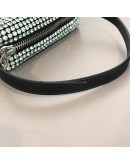 ALEXANDER WANG Heiress Pouch Bag in Green Crystal Mesh – SHW