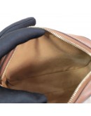 CELINE Small Camera Bag in Triomphe Canvas and Tan Calfskin – GHW