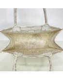 CHRISTIAN DIOR Medium Book Tote in Around the World Motif – Latte/Gold Embroidery (Year 2023)