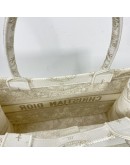CHRISTIAN DIOR Medium Book Tote in Around the World Motif – Latte/Gold Embroidery (Year 2023)