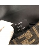 FENDI Baguette 2way Shoulder/Belt Bag in Zucca Canvas – SHW