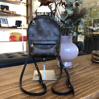 LOUIS VUITTON Monogram Mini Palm Spring Backpack - GHW (Microchip)