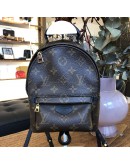 LOUIS VUITTON Monogram Mini Palm Spring Backpack - GHW (Microchip)