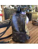 LOUIS VUITTON Monogram Mini Palm Spring Backpack - GHW (Microchip)