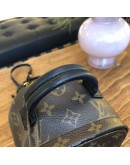 LOUIS VUITTON Monogram Mini Palm Spring Backpack - GHW (Microchip)