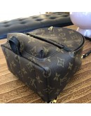 LOUIS VUITTON Monogram Mini Palm Spring Backpack - GHW (Microchip)