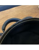 LOUIS VUITTON Monogram Mini Palm Spring Backpack - GHW (Microchip)