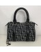 CHRISTIAN DIOR Black Trotter Canvas Mini Boston Bag 20 – SHW