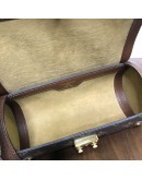 LOUIS VUITTON Monogram Papillon Trunk with Chain & Strap – GHW