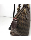 LOUIS VUITTON Damier Ebene Saleya PM Tote Bag – GHW
