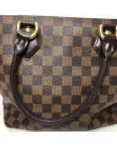 LOUIS VUITTON Damier Ebene Saleya PM Tote Bag – GHW