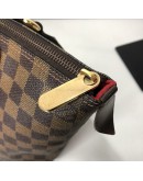 LOUIS VUITTON Damier Ebene Saleya PM Tote Bag – GHW