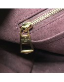 LOUIS VUITTON Monogram CarryAll PM Handbag with Pochette – GHW (Microchip – Year 2025)